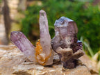 Natural Window Amethyst Crystals x 12 From Chiredzi, Zimbabwe - Toprock Gemstones and Minerals 