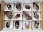 Natural Window Amethyst Crystals x 12 From Chiredzi, Zimbabwe - Toprock Gemstones and Minerals 