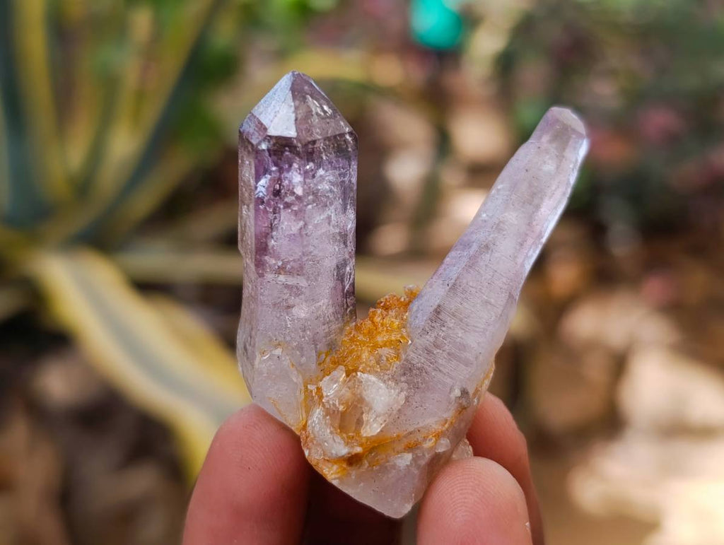 Natural Window Amethyst Crystals x 12 From Chiredzi, Zimbabwe - Toprock Gemstones and Minerals 