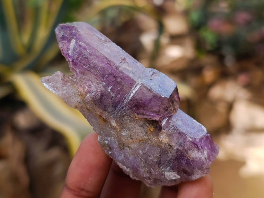 Natural Window Amethyst Crystals x 12 From Chiredzi, Zimbabwe - Toprock Gemstones and Minerals 