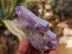 Natural Window Amethyst Crystals x 12 From Chiredzi, Zimbabwe - Toprock Gemstones and Minerals 