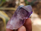 Natural Window Amethyst Crystals x 12 From Chiredzi, Zimbabwe - Toprock Gemstones and Minerals 