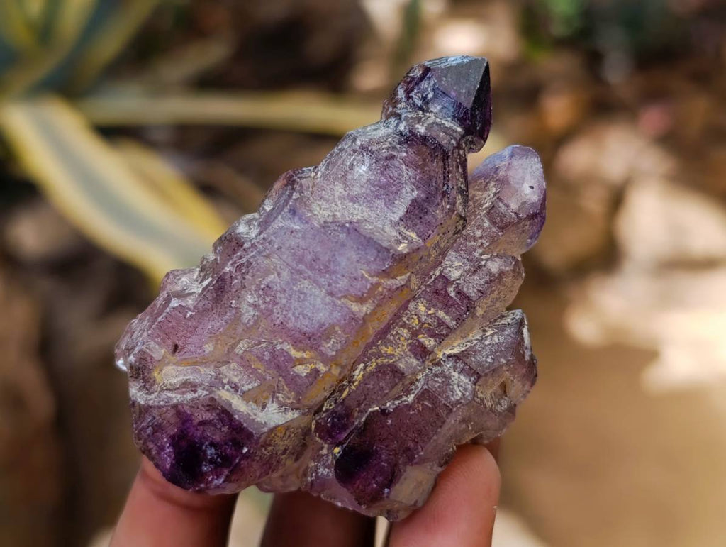Natural Window Amethyst Crystals x 12 From Chiredzi, Zimbabwe - Toprock Gemstones and Minerals 