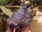 Natural Window Amethyst Crystals x 12 From Chiredzi, Zimbabwe - Toprock Gemstones and Minerals 