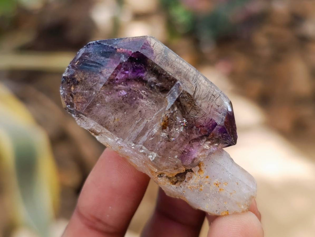 Natural Window Amethyst Crystals x 12 From Chiredzi, Zimbabwe - Toprock Gemstones and Minerals 