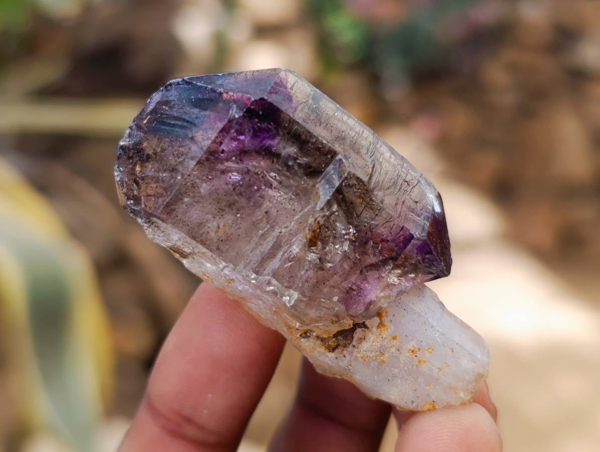 Natural Window Amethyst Crystals x 12 From Chiredzi, Zimbabwe - Toprock Gemstones and Minerals 