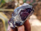 Natural Window Amethyst Crystals x 12 From Chiredzi, Zimbabwe - Toprock Gemstones and Minerals 