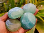 Polished Green Fluorite Palm Stones x 20 From Madagascar - Toprock Gemstones and Minerals 
