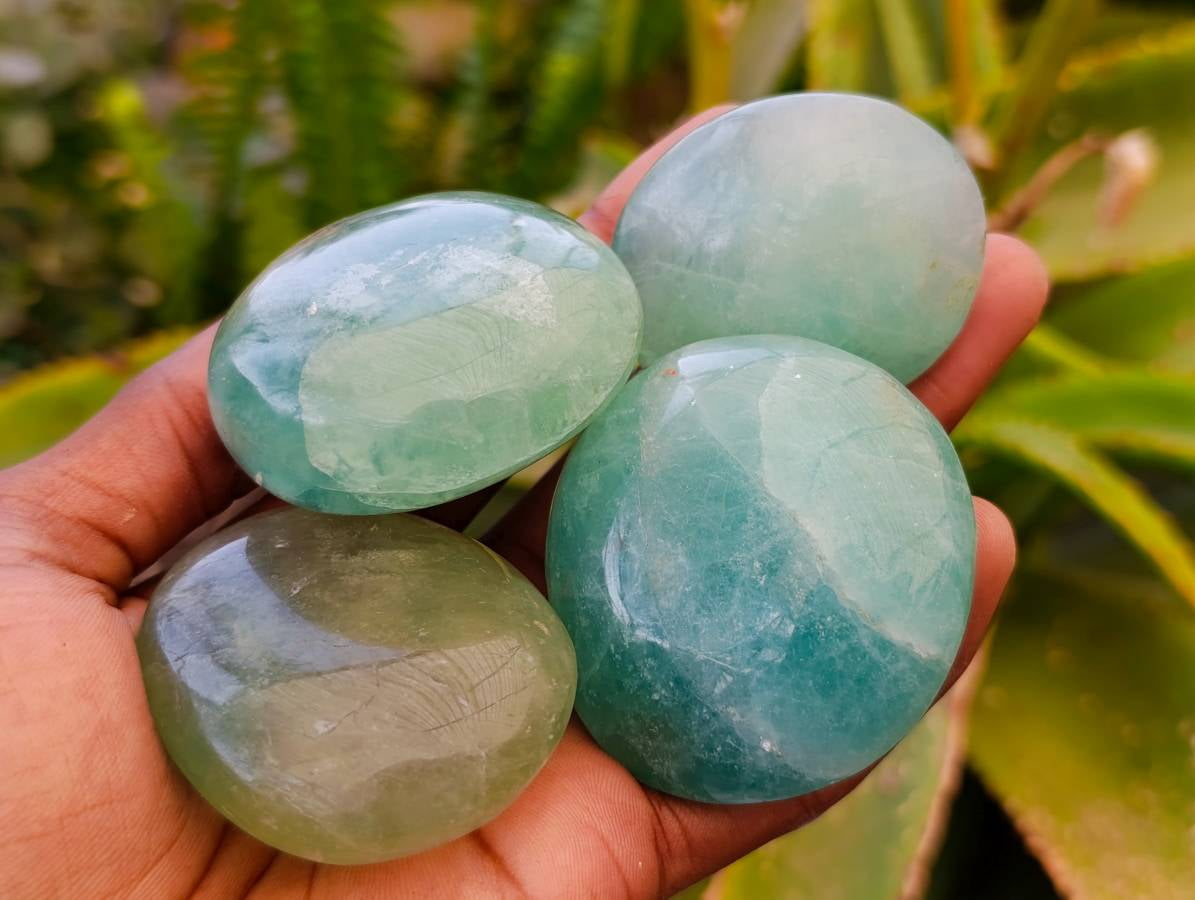 Polished Green Fluorite Palm Stones x 20 From Madagascar - Toprock Gemstones and Minerals 