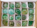 Polished Green Fluorite Palm Stones x 20 From Madagascar - Toprock Gemstones and Minerals 