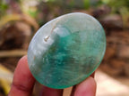 Polished Green Fluorite Palm Stones x 20 From Madagascar - Toprock Gemstones and Minerals 