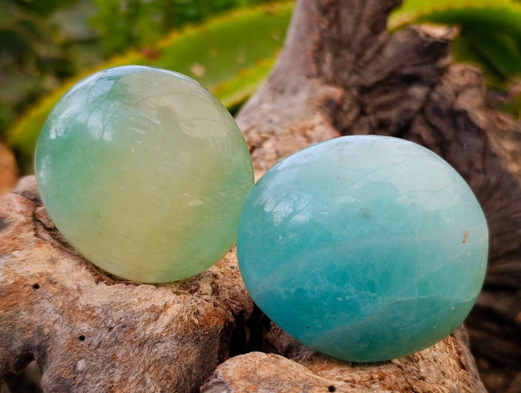Polished Green Fluorite Palm Stones x 20 From Madagascar - Toprock Gemstones and Minerals 