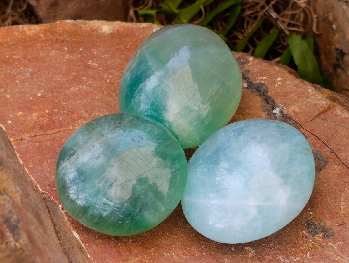 Polished Green Fluorite Palm Stones x 20 From Madagascar - Toprock Gemstones and Minerals 