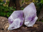 Natural Jacaranda Amethyst Quartz Crystals x 3 From Mumbwa, Zambia - Toprock Gemstones and Minerals 