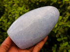 Polished Blue Calcite Standing Free Forms x 2 From Madagascar - Toprock Gemstones and Minerals 