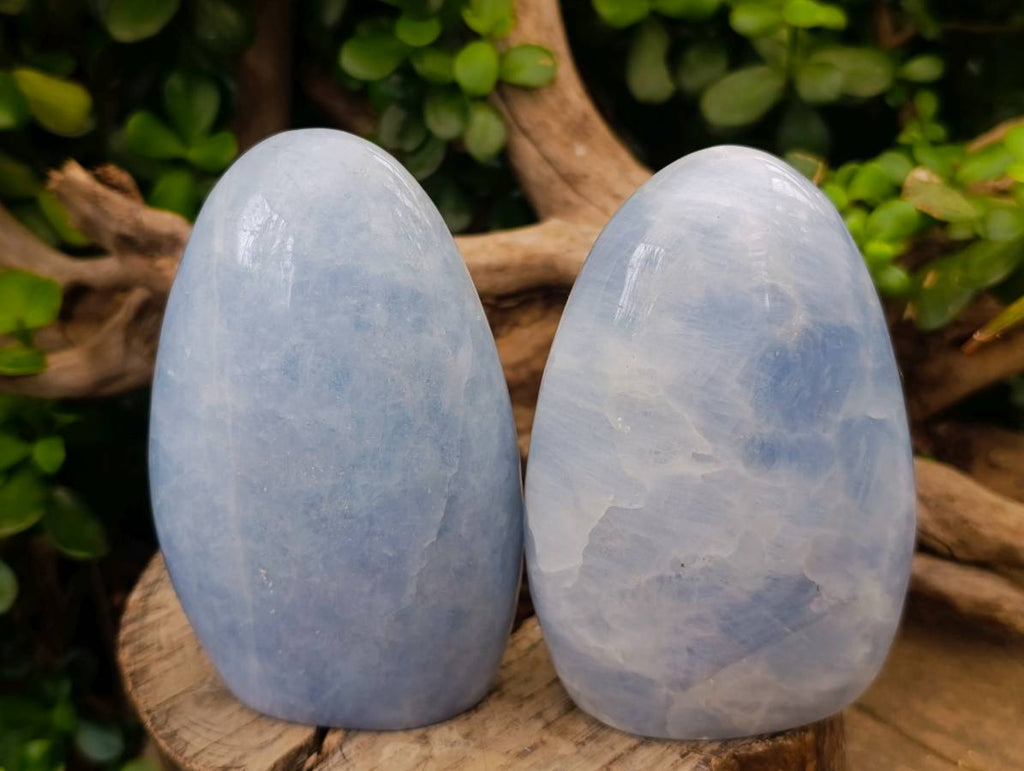 Polished Blue Calcite Standing Free Forms x 2 From Madagascar - Toprock Gemstones and Minerals 