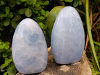 Polished Blue Calcite Standing Free Forms x 2 From Madagascar - Toprock Gemstones and Minerals 