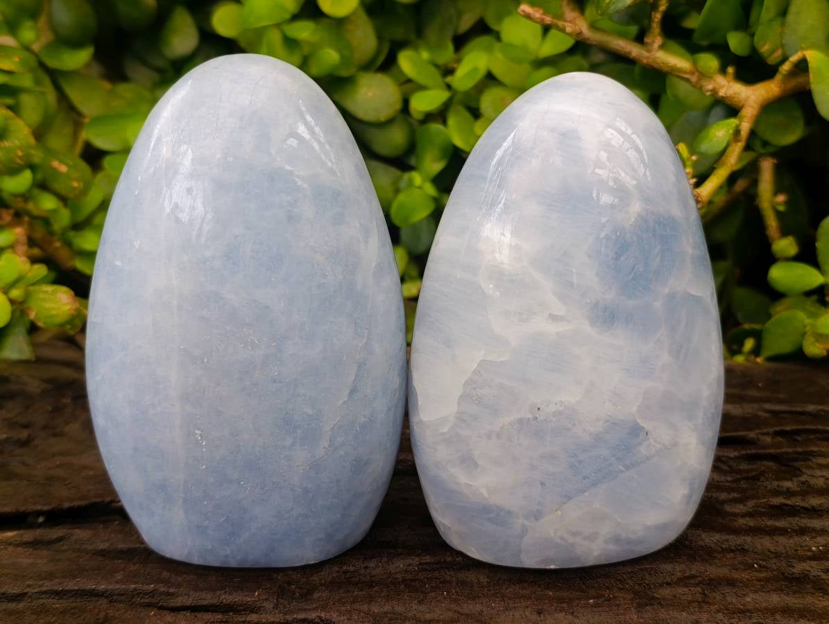 Polished Blue Calcite Standing Free Forms x 2 From Madagascar - Toprock Gemstones and Minerals 