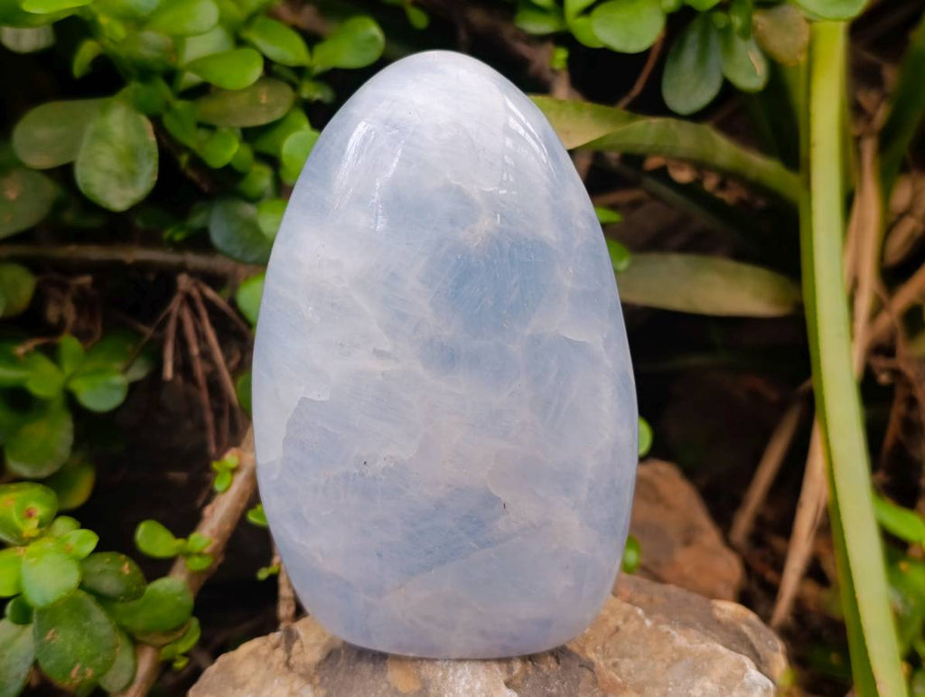 Polished Blue Calcite Standing Free Forms x 2 From Madagascar - Toprock Gemstones and Minerals 