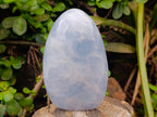 Polished Blue Calcite Standing Free Forms x 2 From Madagascar - Toprock Gemstones and Minerals 