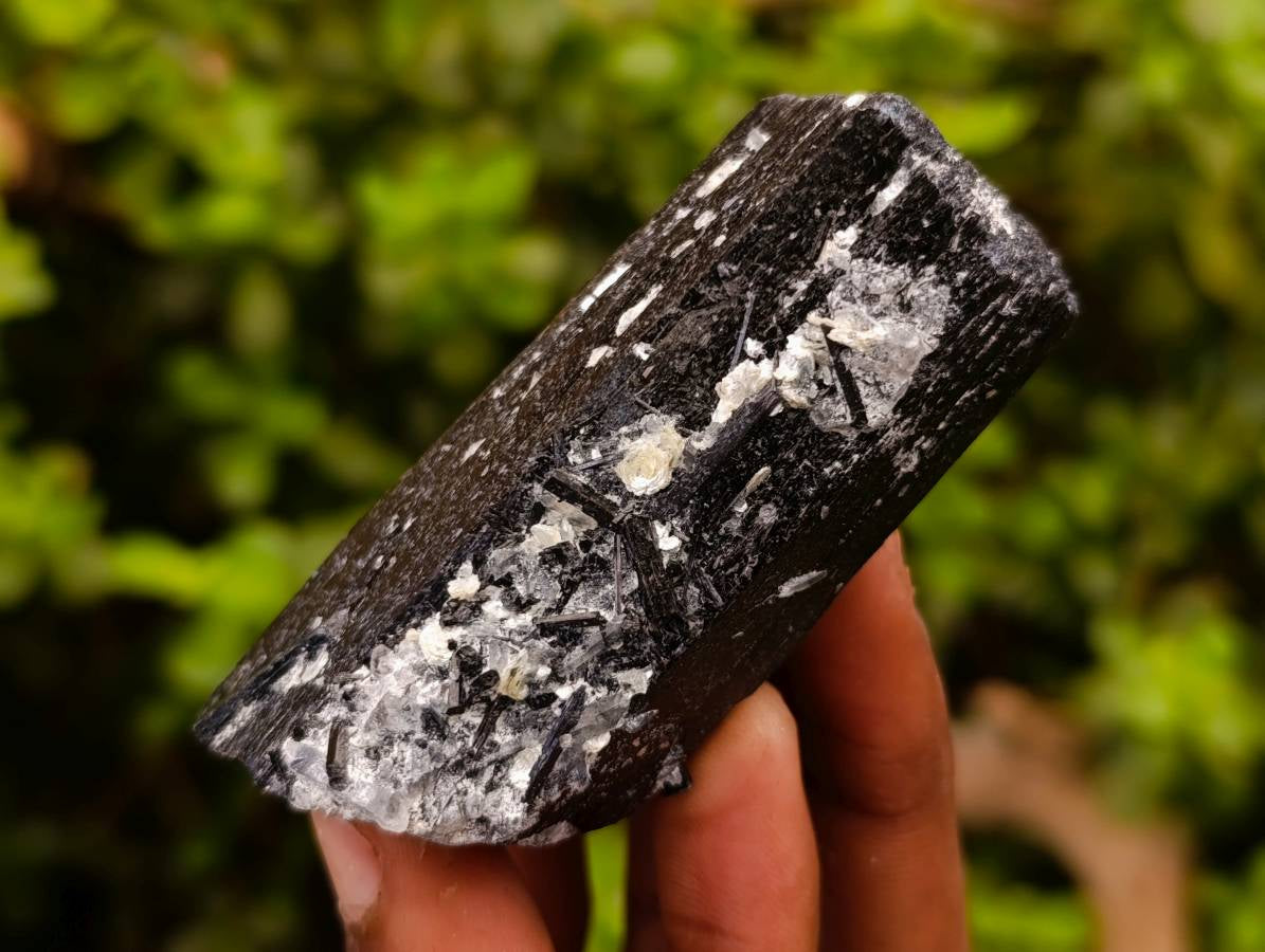 Natural Schorl Black Tourmaline with Hyalite Opal x 12 From Erongo, Namibia - Toprock Gemstones and Minerals 