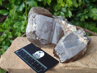 Natural Smokey Window Quartz Crystals x 2 From Malawi - Toprock Gemstones and Minerals 
