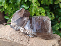 Natural Smokey Window Quartz Crystals x 2 From Malawi - Toprock Gemstones and Minerals 