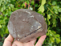 Natural Smokey Window Quartz Crystals x 2 From Malawi - Toprock Gemstones and Minerals 