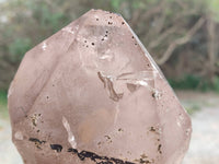 Natural Smokey Window Quartz Crystals x 2 From Malawi - Toprock Gemstones and Minerals 