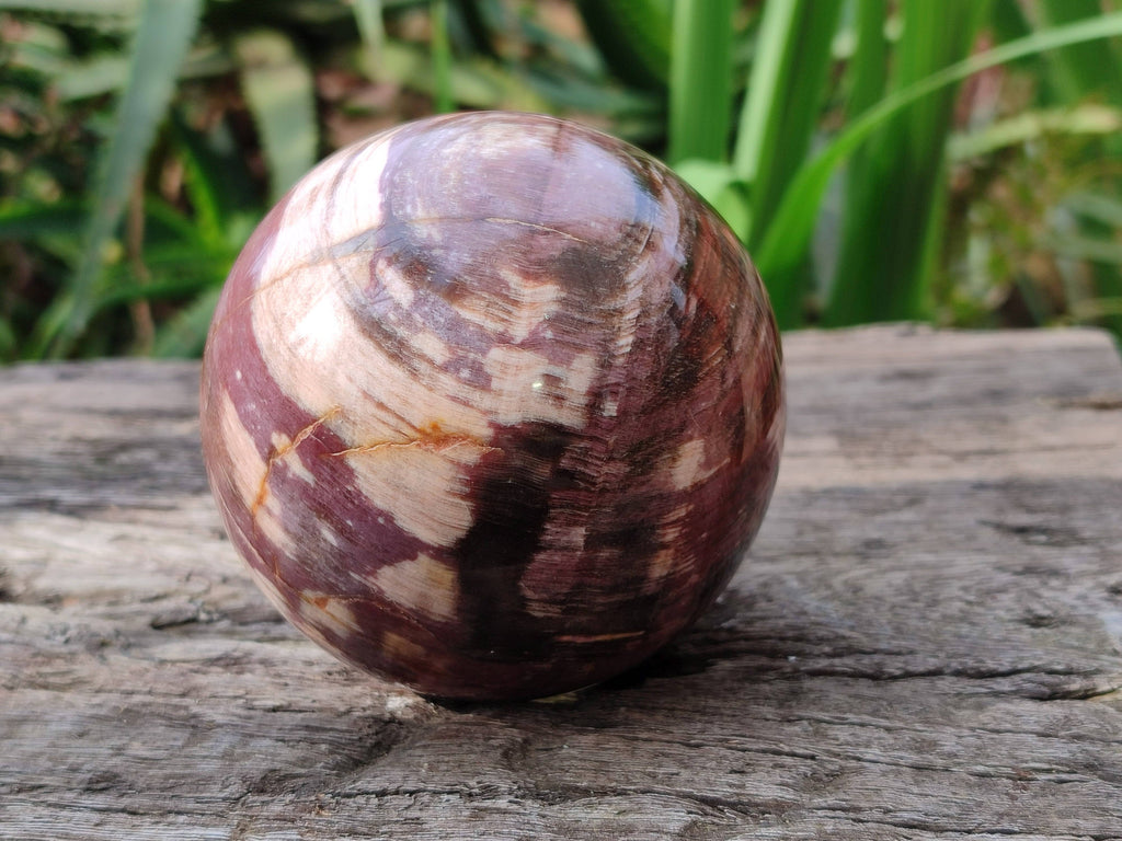 Polished Red Podocarpus Petrified Wood Spheres x 3 From Mahajanga, Madagascar - Toprock Gemstones and Minerals 