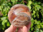 Polished Red Podocarpus Petrified Wood Spheres x 3 From Mahajanga, Madagascar - Toprock Gemstones and Minerals 