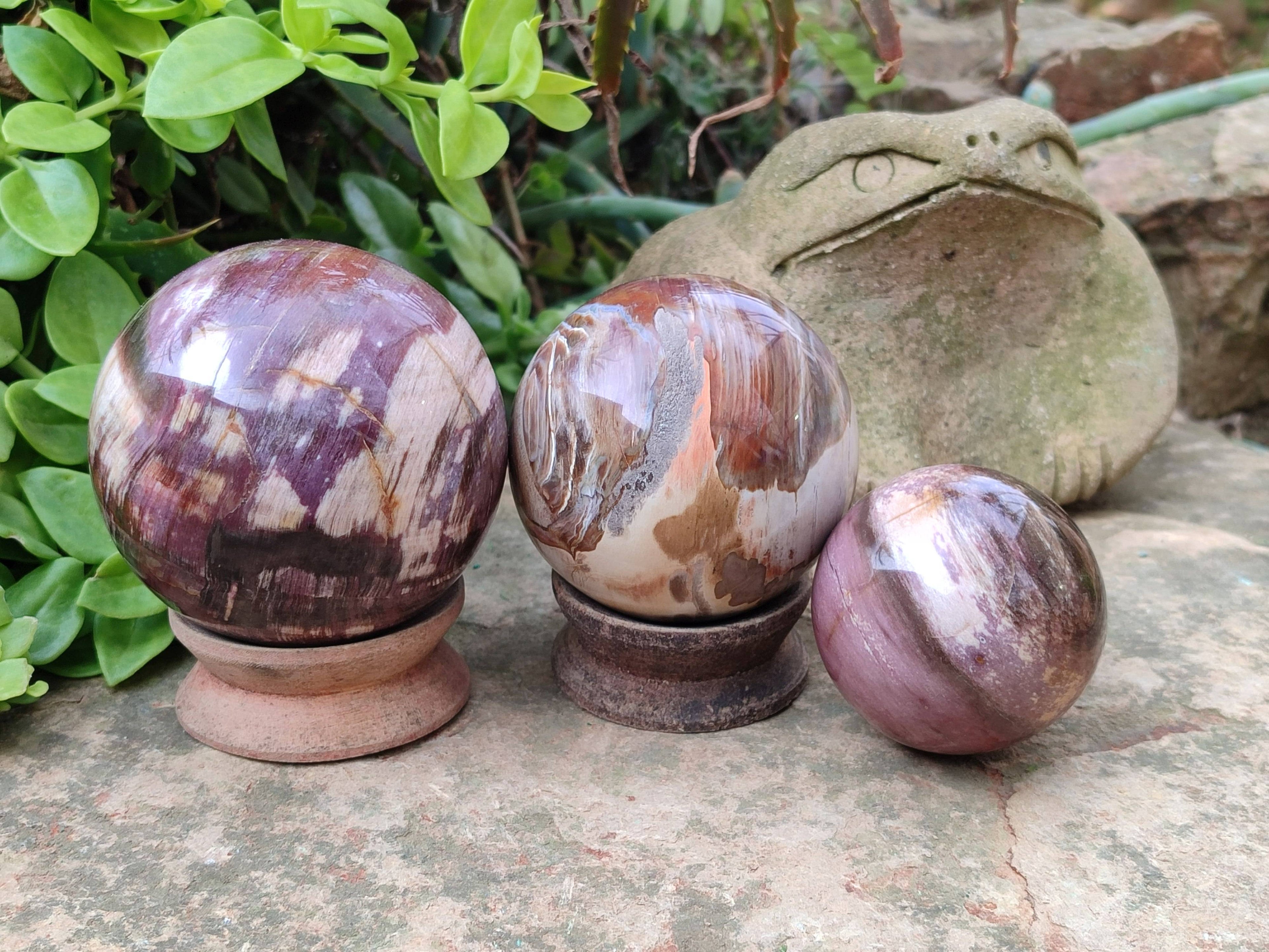Polished Red Podocarpus Petrified Wood Spheres x 3 From Mahajanga, Madagascar - Toprock Gemstones and Minerals 