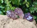 Natural Window Amethyst Crystals x 20 From Chiredzi, Zimbabwe - Toprock Gemstones and Minerals 
