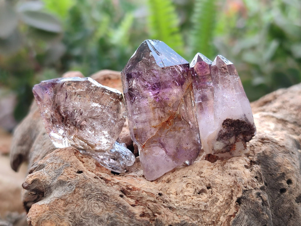 Natural Window Amethyst Crystals x 20 From Chiredzi, Zimbabwe - Toprock Gemstones and Minerals 
