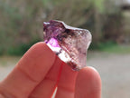 Natural Window Amethyst Crystals x 20 From Chiredzi, Zimbabwe - Toprock Gemstones and Minerals 