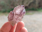 Natural Window Amethyst Crystals x 20 From Chiredzi, Zimbabwe - Toprock Gemstones and Minerals 