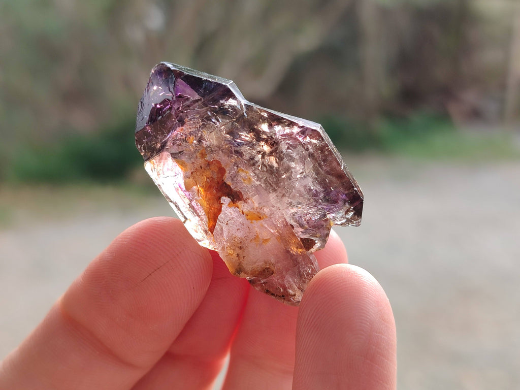 Natural Window Amethyst Crystals x 20 From Chiredzi, Zimbabwe - Toprock Gemstones and Minerals 