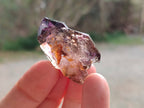 Natural Window Amethyst Crystals x 20 From Chiredzi, Zimbabwe - Toprock Gemstones and Minerals 