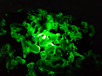 Natural Fluorescent Hyalite Opal On Smokey Quartz And Black Tourmaline Specimen x 1 From Erongo, Namibia - Toprock Gemstones and Minerals 