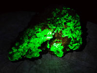 Natural Fluorescent Hyalite Opal On Smokey Quartz And Black Tourmaline Specimen x 1 From Erongo, Namibia - Toprock Gemstones and Minerals 