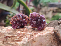 Natural Amethystos Amethyst Clusters x 70 From Kwaggafontein, South Africa - Toprock Gemstones and Minerals 