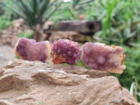 Natural Amethystos Amethyst Clusters x 70 From Kwaggafontein, South Africa - Toprock Gemstones and Minerals 