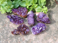 Natural Amethystos Amethyst Clusters x 70 From Kwaggafontein, South Africa - Toprock Gemstones and Minerals 