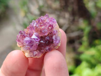 Natural Amethystos Amethyst Clusters x 70 From Kwaggafontein, South Africa - Toprock Gemstones and Minerals 