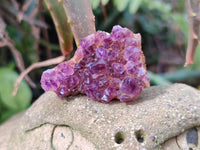 Natural Amethystos Amethyst Clusters x 70 From Kwaggafontein, South Africa - Toprock Gemstones and Minerals 