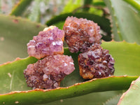 Natural Amethystos Amethyst Clusters x 70 From Kwaggafontein, South Africa - Toprock Gemstones and Minerals 