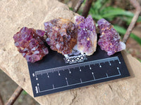 Natural Amethystos Amethyst Clusters x 70 From Kwaggafontein, South Africa - Toprock Gemstones and Minerals 