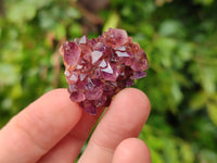 Natural Amethystos Amethyst Clusters x 70 From Kwaggafontein, South Africa - Toprock Gemstones and Minerals 