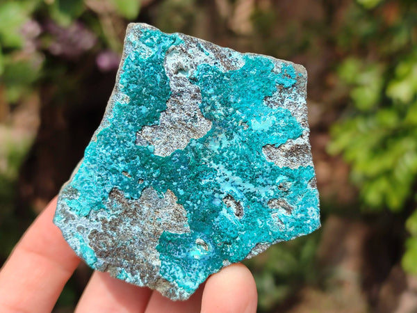 Natural Drusy Coated Chrysocolla Specimens x 6 From Likasi Mine, Congo - Toprock Gemstones and Minerals 