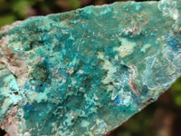 Natural Drusy Coated Chrysocolla Specimens x 6 From Likasi Mine, Congo - Toprock Gemstones and Minerals 